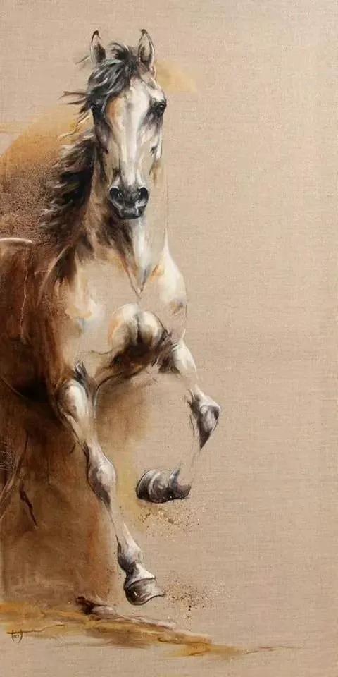 马头简笔画图片大全，马头简笔画（帅气马头绘画欣赏）