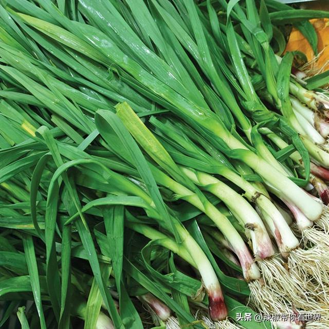 盐城特产介绍，盐城特产（大自然寂静之美造就这里的特色美食）