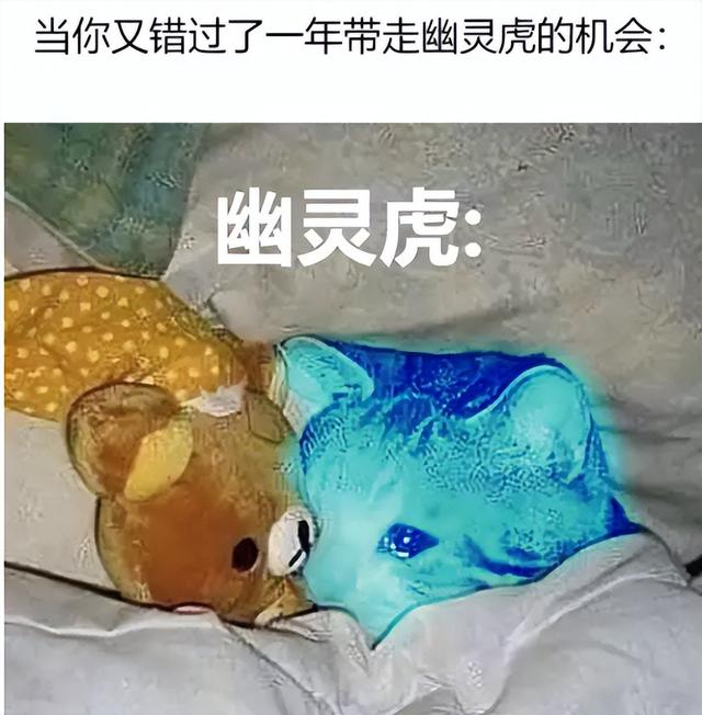 卡是什么意思网络用语污，女生说卡是什么意思（最稀有坐骑一年内再度返场）