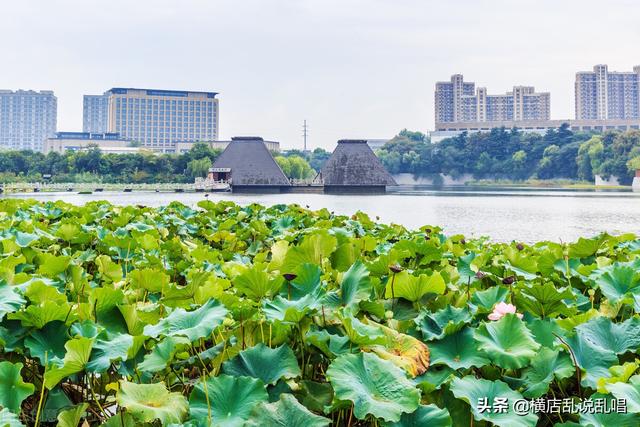 徐州有几个区和几个县，徐州有几个区 分别是哪些（江苏徐州：经济飞速）