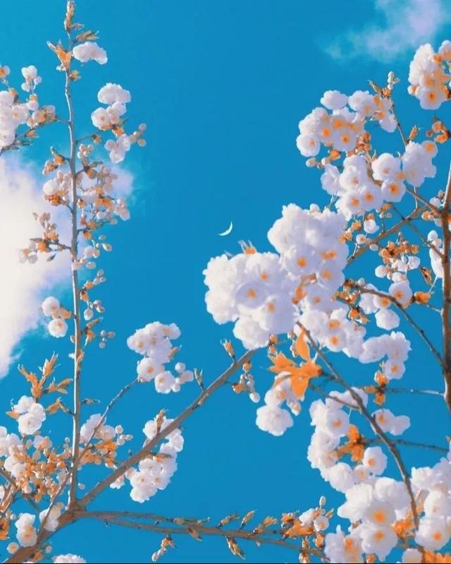 青春奋斗梦想励志句子，关于青春奋斗梦想的励志短句（致为梦想奔跑的年轻人）