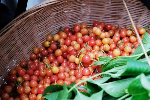 汉中旅游景点排名推荐，汉中旅游景点大全排名榜（在汉中一年四季可以这样玩 →）