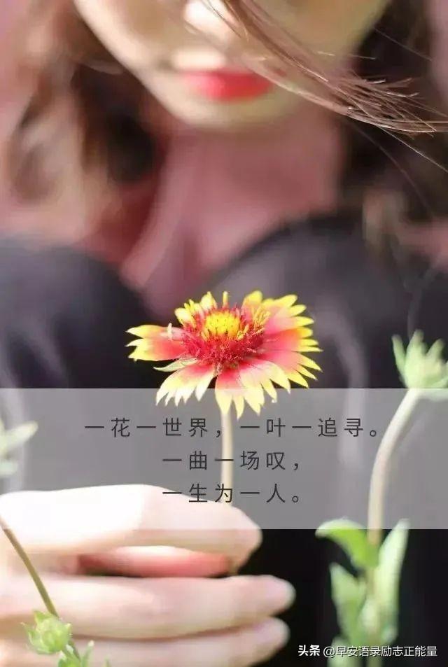 适合发朋友圈的句子，适合冬天发朋友圈的句子（2023适合发朋友圈的说说心情短语）