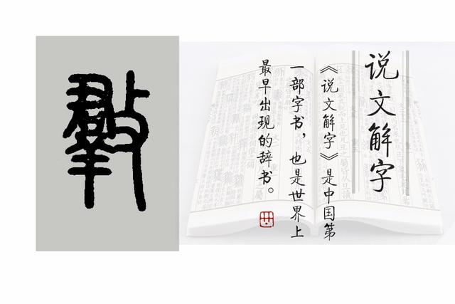 会意字有哪些，指事字有哪些（《说文解字》第610课）