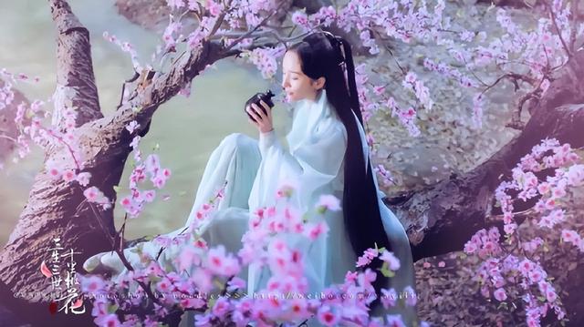 2015电视剧排行榜，中国电视排名前十名（近10年评分最高的十部仙侠剧）