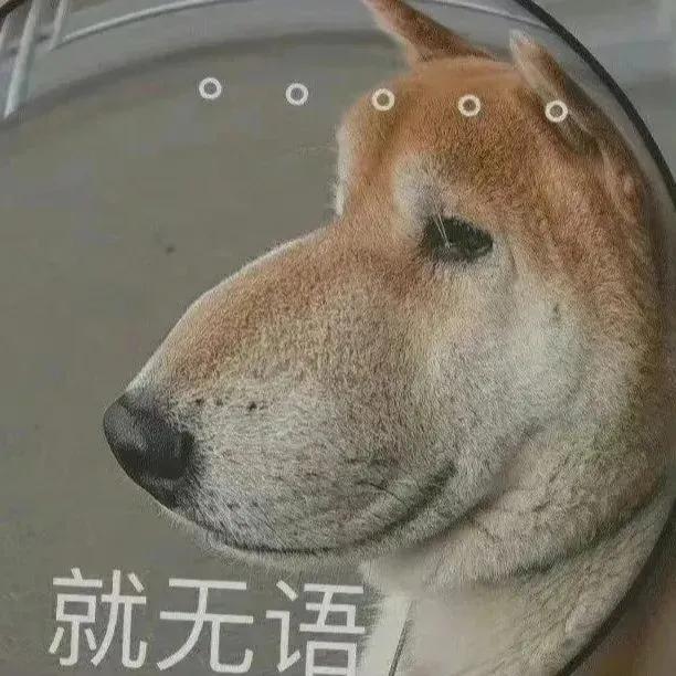 沙雕表情包头像，沙雕表情包微信（沙雕表情包熊猫人）