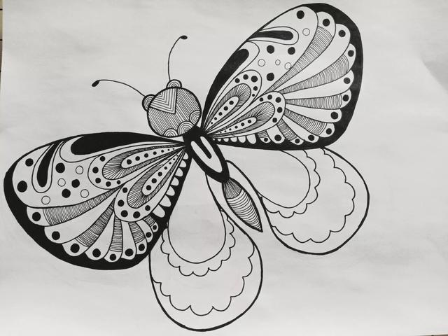 蝴蝶怎么画简单好看，如何画一个简单蝴蝶（《蝴蝶》线描画绘画过程）