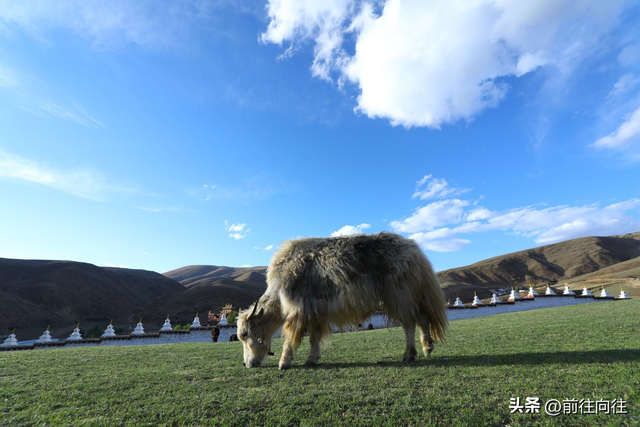 墨石公园属于哪个县城，墨石公园简介（必驾木格措墨石公园圣地理塘）