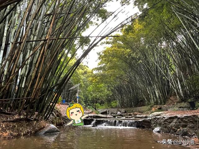 广州徒步登山经典路线，​黄埔秘境在这里