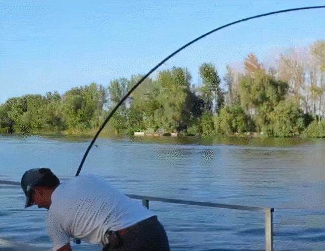 晚上蚊子很多用什么方法可以驱赶，半夜驱蚊子最有效的方法（只需掌握这5个“要点”）
