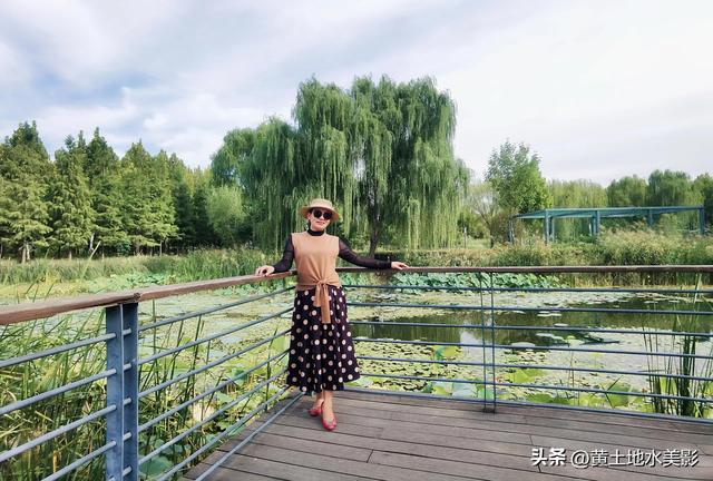 郑州龙湖湿地公园现状分析，河南郑州龙湖湿地公园秋色初露