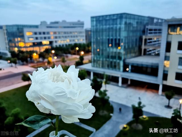中国社会科学院大学，中国社会科学院大学排名（每年仅招数百名本科生的3所大学）