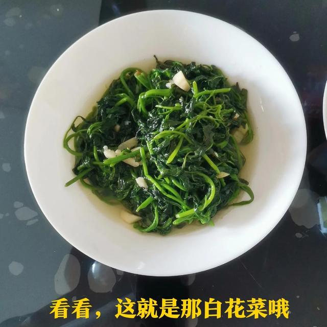 白花菜(白花菜圖片,白花菜的功效與作用(特殊草一一白花菜真的可以吃)