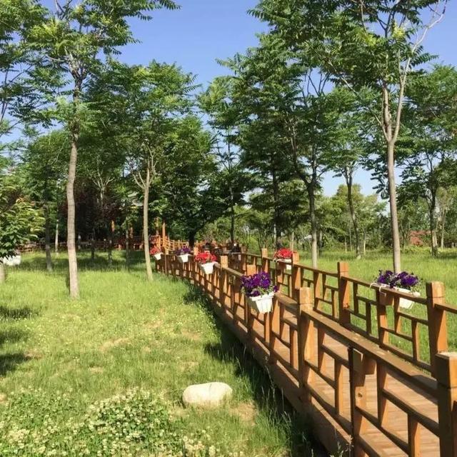 西安华山风景区，陕西华山旅游自助游攻略路线图（收藏！华山国庆旅游全攻略~）