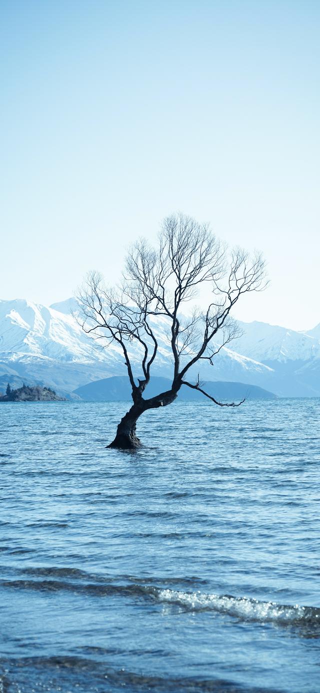 优质风景背景图图片