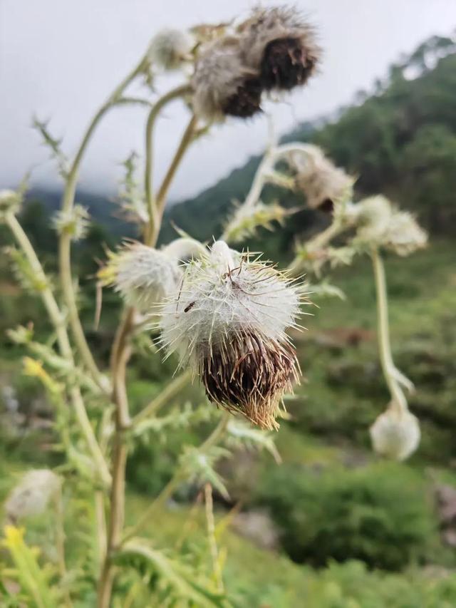 平凡的世界简介梗概，平凡的世界简介梗概1500（《平凡的世界》写了什么）