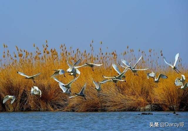 兴趣爱好有哪些，业余爱好有哪些（最适合男人的21个良好兴趣爱好）