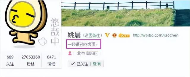 姚晨与凌潇肃，10年“离婚大战”，没有一个是赢家