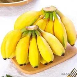 香蕉是什么季节的水果，秋冬季吃什么水果好（中国古代也出产香蕉——中国人的水果自由史之二）