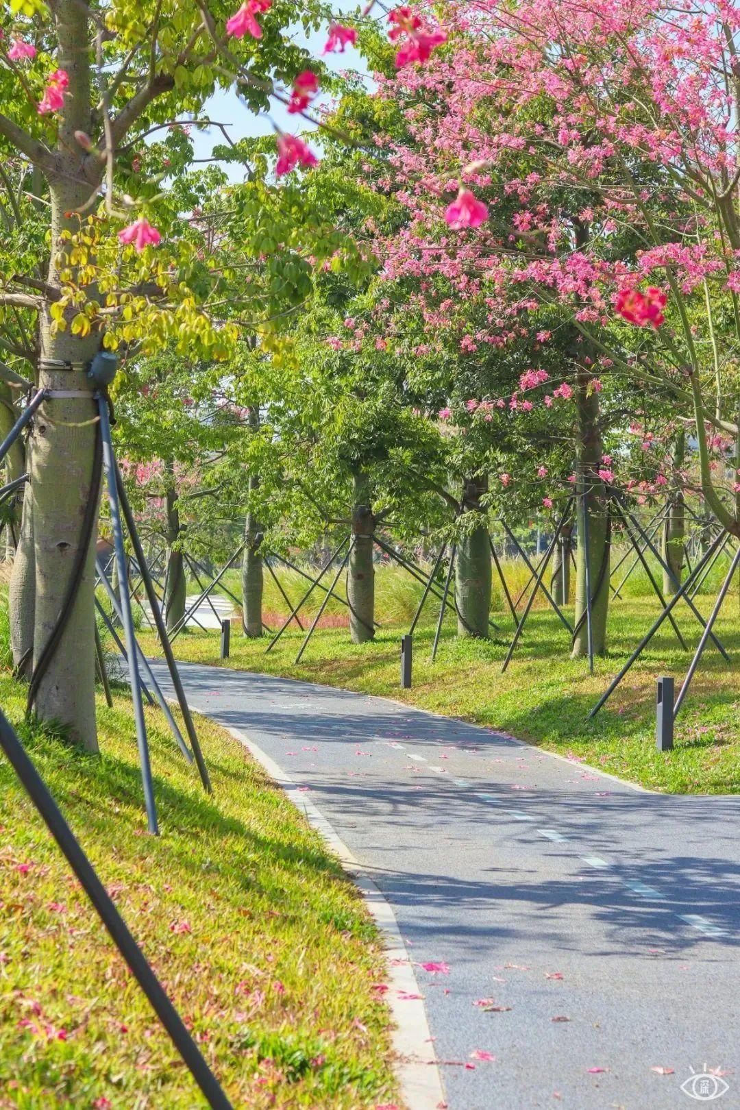 宝安中心地铁站(宝安客运中心附近地铁站)