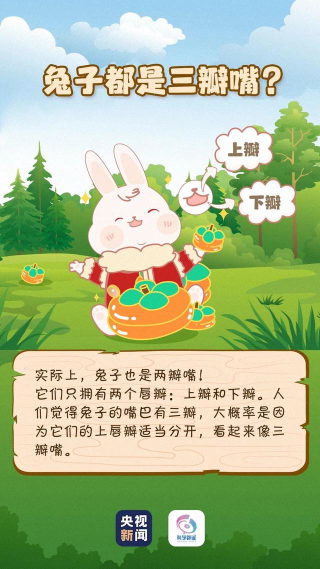 小白兔喜欢吃什么，小白兔外貌特征描写（兔子眼睛是红色的）