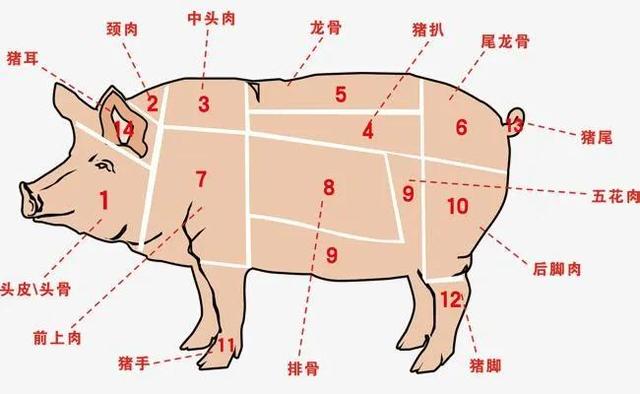 猪肉怎么挑选新鲜的,怎么选择新鲜的猪肉("懂行人"买猪肉)