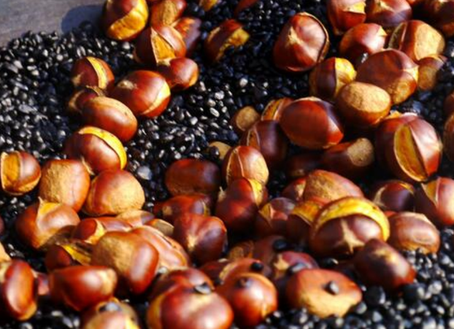 海苔（海苔亿万富翁，靠卖海苔2年内赚4000万（买海苔的亿万富翁）