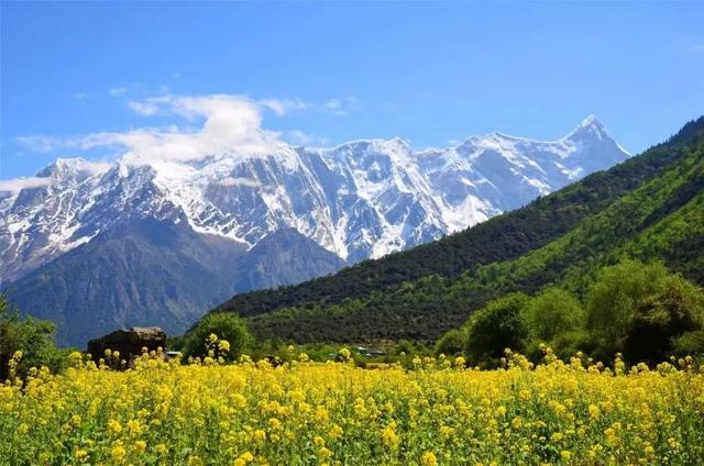 亲子游去哪里玩比较好，暑假带孩子去哪里旅游最好国内自驾（最适合亲子出行的11个旅行地）