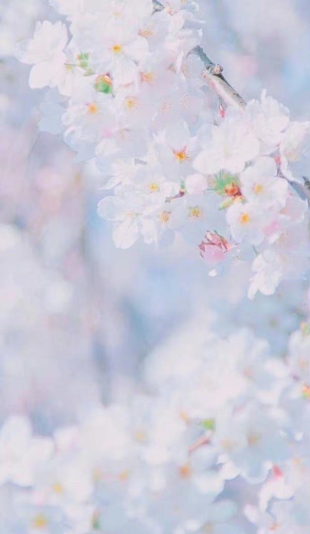 水瓶座和什么星座最配做闺蜜，水瓶座容易抑郁吗（很容易成为闺蜜的星座配对）