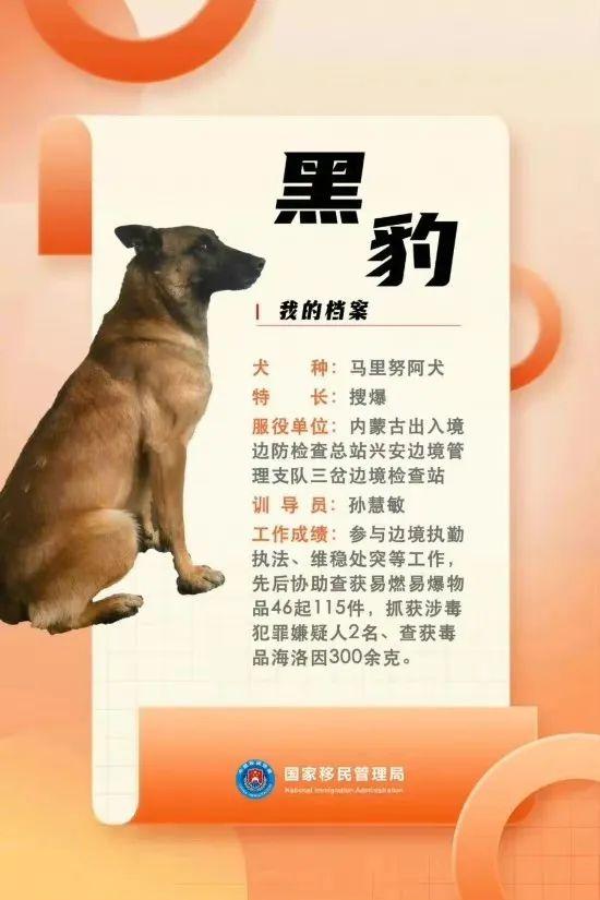 汪汪队立大功百科,汪汪队立大功人物介绍(国家首批功勋犬简历曝光) 汪汪队立大功百科,汪汪队立大功人物介绍(国家首批功勋犬简历曝光)