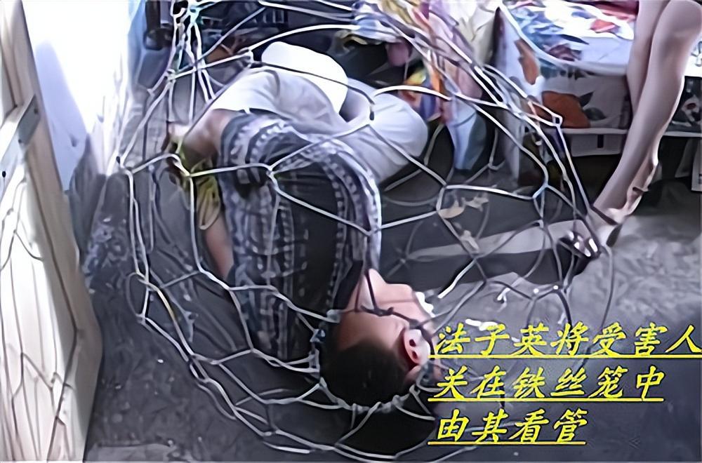 吴法天律师（我现在连脸都不要了）