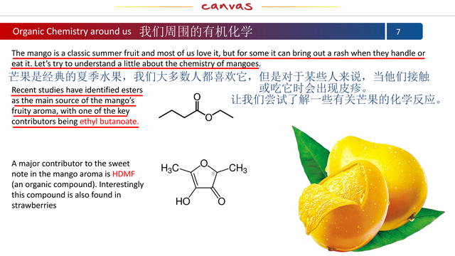 mango是什么意思，Mango是什么意思英语（信息爆炸名词术语浩如烟海科学思维至关重要）