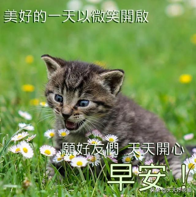 心情说说配图❤，表达心情的图片大全（6月22日清晨最新早上好祝福图片）