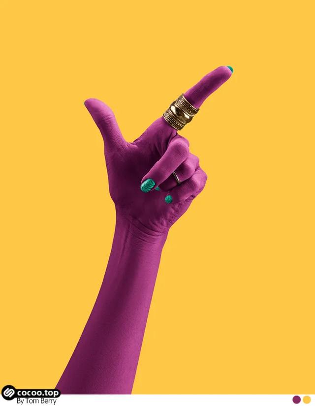 绿色属于暖色还是冷色，绿色是冷色还是暖色（色彩搭配的逻辑关系）