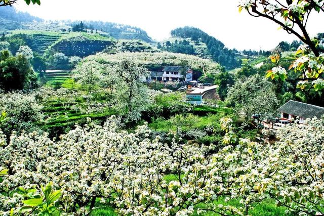 四川宜宾县横江古镇，3月20日-26日宜宾市乡村旅游点综合人气指数排行