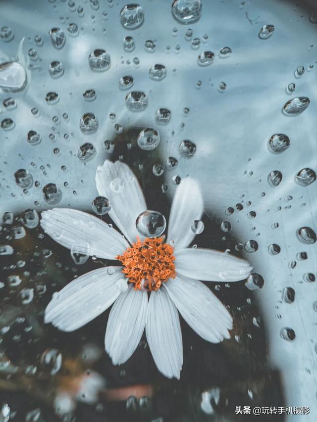 什么情况下拍照用HDR模式，拍照中的hdr是什么模式（你想不到的公园拍照技巧）