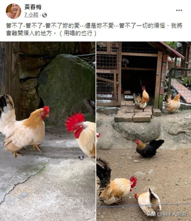 孙俪三胎喜获龙凤胎，汪希玥汪希箖（曾被喊话：过得不好来找奶奶）