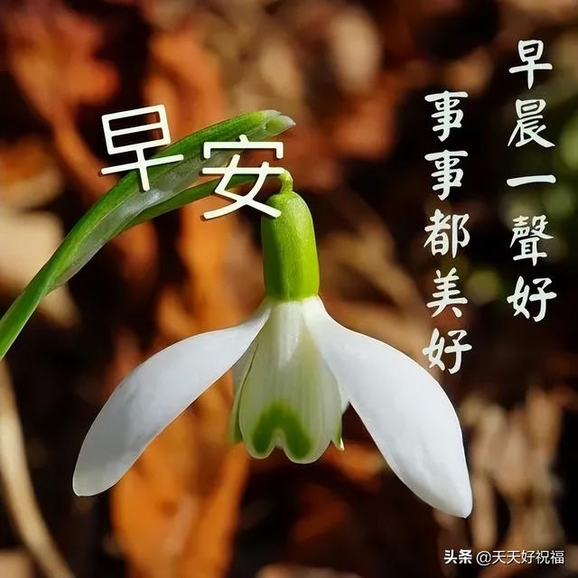 2,有創意的親人朋友早安圖片帶祝福語 溫馨的大家早上好問候圖片帶字