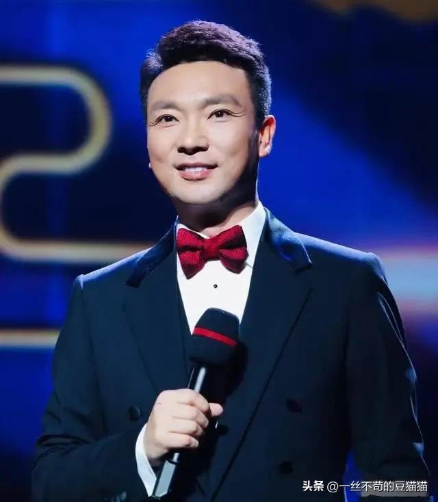 央视主持人年薪，央视主持人月薪（尼格买提曝：我在央视14年）