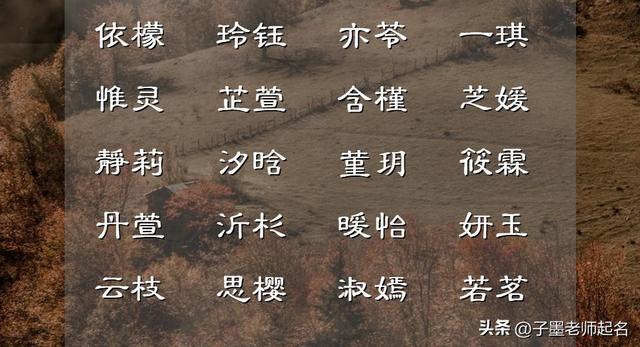 形容女人气质优雅漂亮的四字词语，赞美女人气质高雅漂亮的四字词语（袅袅娜娜的女孩名）