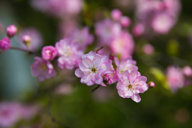 关于立春的古诗大全，关于立春诗词大全（绝美立春诗词10首）