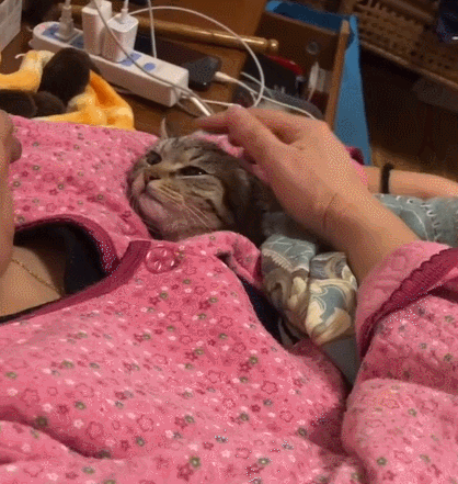 如何寻找相同的图片，如何找到相同图片（网友：这长得也太不一样了吧）