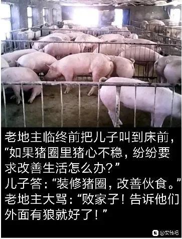 996007是什么意思啊，996是什么意思（996真的是福报）