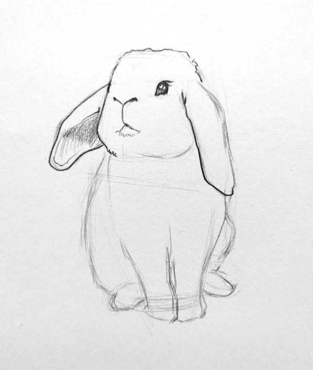 如图所示:在头部画出小兔子的眼睛鼻子和嘴巴,如图所示:在嘴部画出小