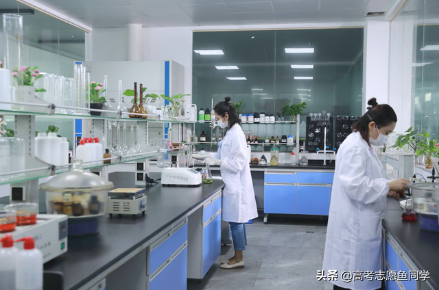 女生适合学动物医学专业吗，女生学动物医学好吗（“性格内向”女生适合的5类专业）