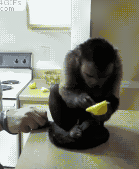 史上最牛的名字，中国古代最厉害的名字（这样的名字好难写啊）