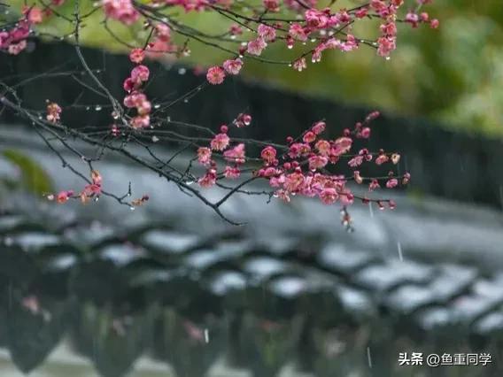 老祖宗地日石不落，五行石课程（今天正月初十“地日”，晴天好）