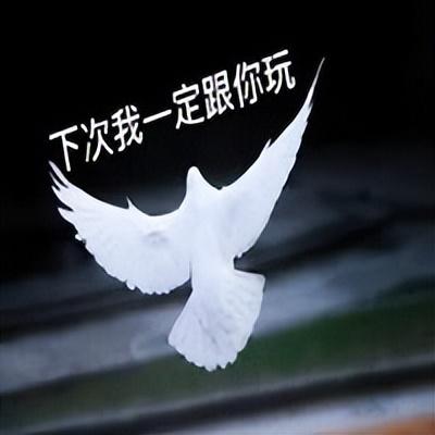 苹果相册照片有感叹号，苹果iphone手机照片有感叹号怎么恢复（感叹号iPhone真的来了）