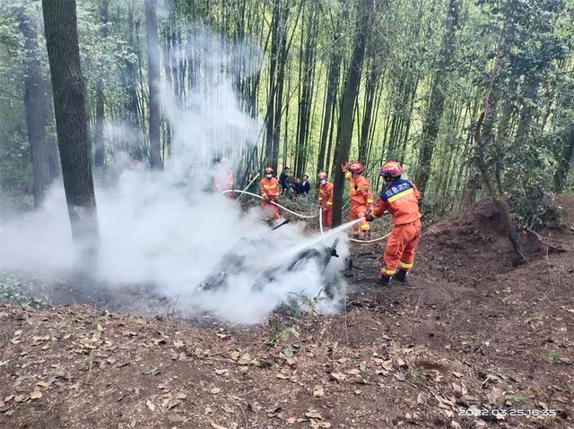 扑救森林火灾主要分哪几个阶段，扑救森林火灾主要分哪几个阶段工作（多举措筑牢森林防火屏障）