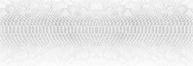 东北五大仙是什么，东北五大仙是什么仙（属于东北五大仙的快意恩仇又是怎样的）